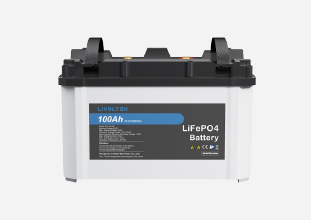 Livoltek Lithium Battery Low Voltage 25.6V100Ah